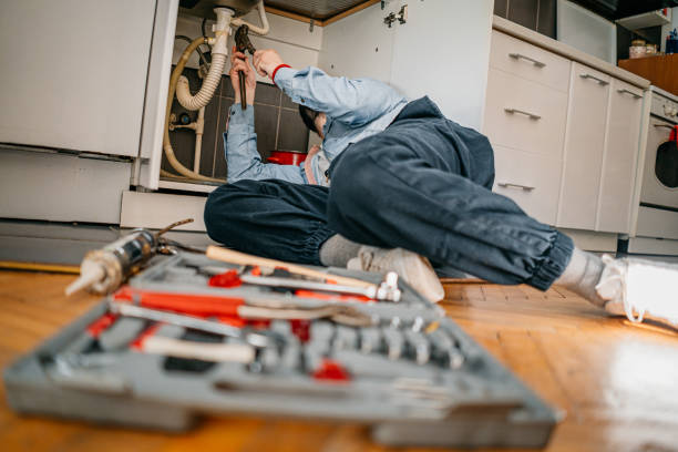 Best Plumbing Inspection Services  in Haines City, FL