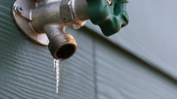 Best Drain Cleaning Services  in Haines City, FL